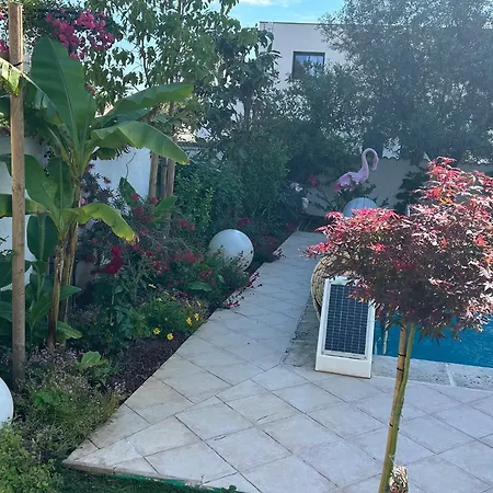 Location Piscine Jardin Villa